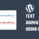 css text animation
