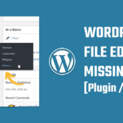 WordPress file editor missing