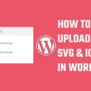 upload SVG and ICO files WordPress