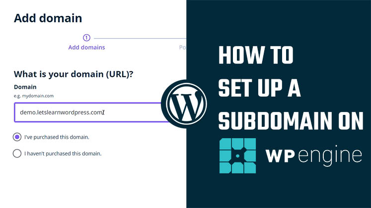 subdomain in WP Engine WordPress Hosting?