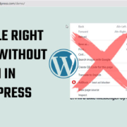 Disable Right Click WordPress without plugins