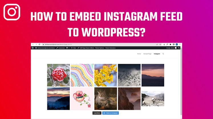 Embed Instagram Feed to WordPress