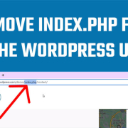 remove index.php URL