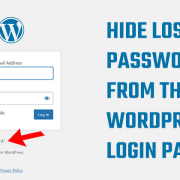 Hide Lost Your Password