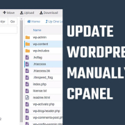 Update WordPress Manually