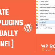 update WordPress Plugins using a cPanel