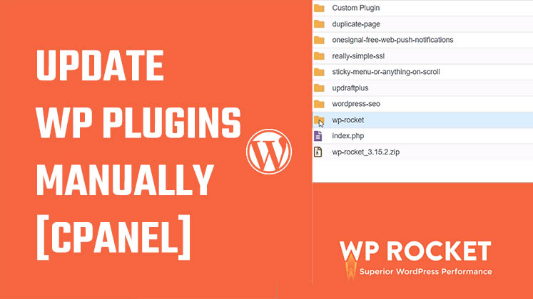 update WordPress Plugins using a cPanel