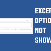 EXCERPT Options Not Showing in WordPress