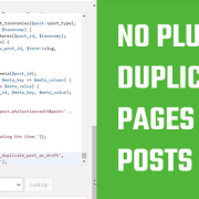 Duplicate Pages and Posts