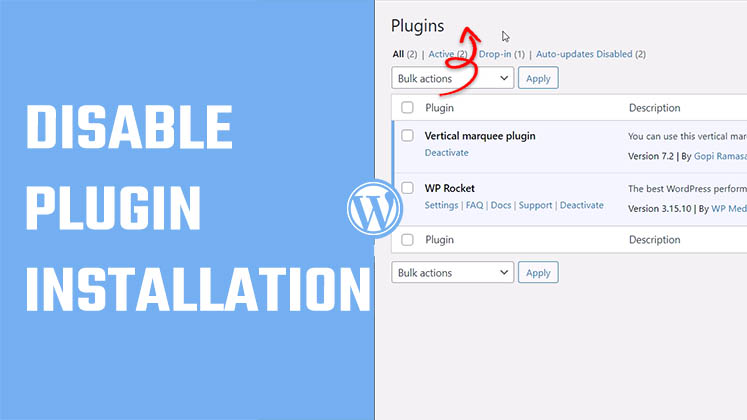 Disable WP plugin installation