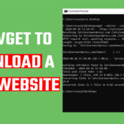 Download Website using wget