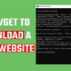 Download Website using wget