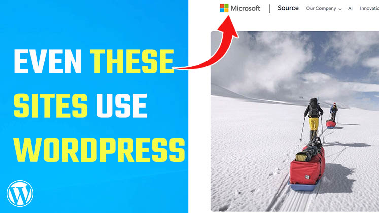 Popular sites using WordPress