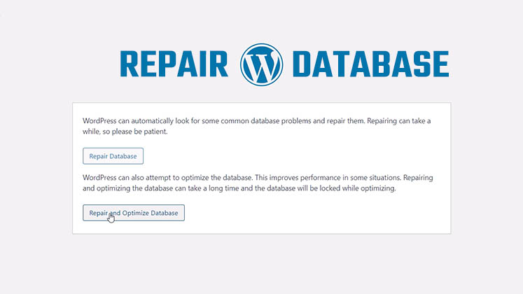 Repair Database WP