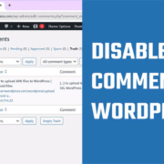 Disable Spam Comments WP